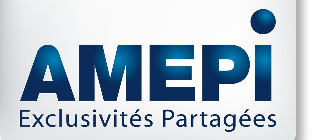 LOGO AMEPI